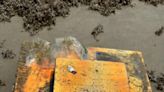 Look: Mysterious orange blocks on Texas beaches are sea turtle 'effigies'