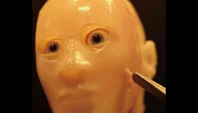 Be more human, say cheese: Scientists in Japan give robots fleshy face and a smile