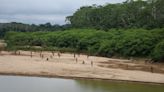 Emergence of Peru's largest uncontacted tribe sparks logging concerns