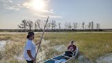 Wild rice harvest season, central to Ojibwe in Wisconsin, begins