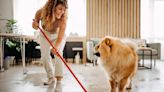 10 House Hacks Every Pet Owner Needs to Know