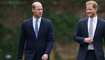 Prince Harry Was Allegedly Left 'In Tears' After Military Role Was Given To Prince William