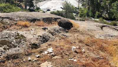 Yosemite National Park trashed with toilet paper? Rangers say it is an increasingly common sight