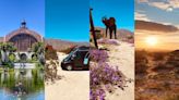 Surf, Sand, & Super Blooms: The Great Southern California Road Trip