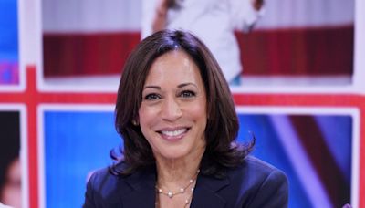 People Are Saying the Most Vile Things About Why Kamala Harris Doesn’t Have Biological Kids ... Because of Course They Are