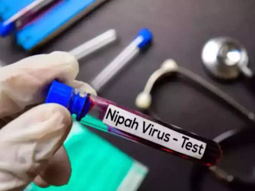 Nipah virus claims teen's life in Kerala, 60 high-risk cases identified - The Economic Times