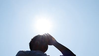 Experts raise concerns after examining widespread health-harming heat stress: 'Took the scientific community by surprise'
