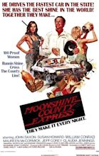 Every 70s Movie: Moonshine County Express (1977)