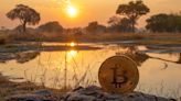 Zimbabwe launches study to map and regulate crypto industry