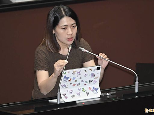 「美台國防工業會議」陳永康不去了 國民黨換徐巧芯赴美演講