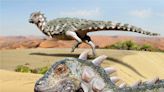 Remains of house-cat-sized dinosaur with spikes, powerful bite discovered in Argentina