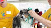 Free dog washing event in Tyler to benefit Pets Fur People