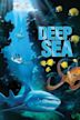 Deep Sea 3D