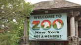 Zoo New York wants temporary hold on loan payments