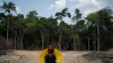 Brazil's Amazon deforestation hits record for month of April