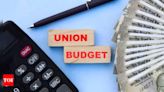 Budget 2024: Repercussions of delayed payments to micro & small entities – amendments are much needed - Times of India