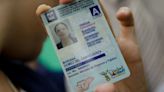 AMLO confirma que podría implementarse la licencia de conducir permanente: “Se puede establecer a nivel nacional”