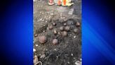 Old military ammunitions found at Waltham construction site