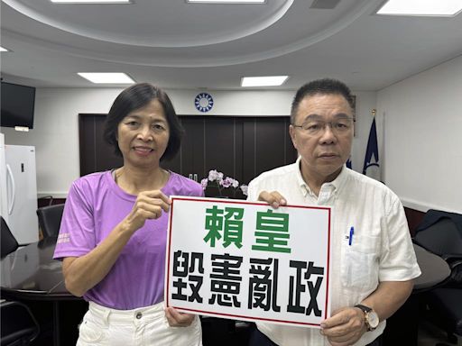 賴清德聲請釋憲 本命區藍軍批進化版的「不進議會4.0」