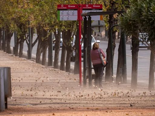 Alerta naranja por viento Zonda en Mendoza: que zonas se verán afectadas este lunes | Sociedad