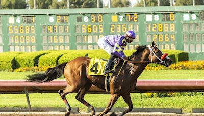 Man O Rose stretches out, wins E.B. Johnston Stake at Los Alamitos opener