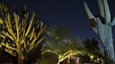 Desert Botanical Garden's luminaria nights start soon. Here's how to see the lights