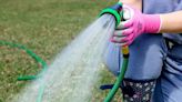 Need a new garden hose this summer? These are the best ones to shop