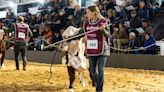 La raza Braford coronó a los grandes campeones en su 21° Exposición Nacional