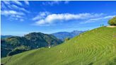 嘉義大風埕觀日峰，綿延山谷的茶園好遼闊！大塔山及大凍山美景盡收眼底～