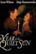 A Year of the Quiet Sun