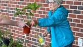 Clay Spring Garden Club plant sale returns