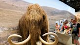 $1.5 billion startup says it's getting close to bringing the woolly mammoth back from the dead with elephant cells