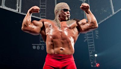 Scott Steiner On AEW: “Nobody Gives A Sh*t If They’re Just Matches With No Storyline” - PWMania - Wrestling News