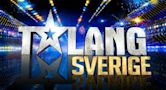 Talang (Swedish TV series)