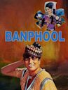 Banphool