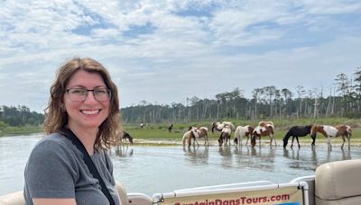 I paid $50 to take a boat tour around a beautiful island in Virginia filled with wild ponies. It should be on everyone's bucket list.