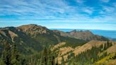 8-Year-Old Hospitalized After ‘Extraordinarily Rare’ Cougar Attack During Washington State Camping Trip