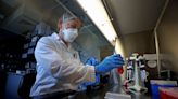 US tightens rules on risky virus research - The Boston Globe