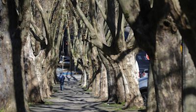 Último dia de veranico: RS terá quinta-feira de sol e máxima de 29°C | GZH