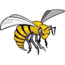 Alabama State Hornets