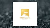 Brokers Set Expectations for New Found Gold Corp.’s Q1 2025 Earnings (NYSE:NFGC)