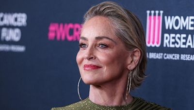 'We're All Trying to Confront Our Demons': Sharon Stone Opens Up About Mental Health in Emotional Interview