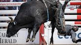 Photo Gallery: Calgary Stampede rodeo competition