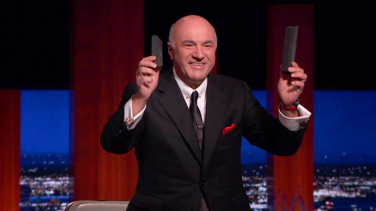 SHARK TANK's Kevin O'Leary Wants to Buy TikTok