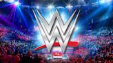 Un fan demanda a WWE por negligencia en sus shows