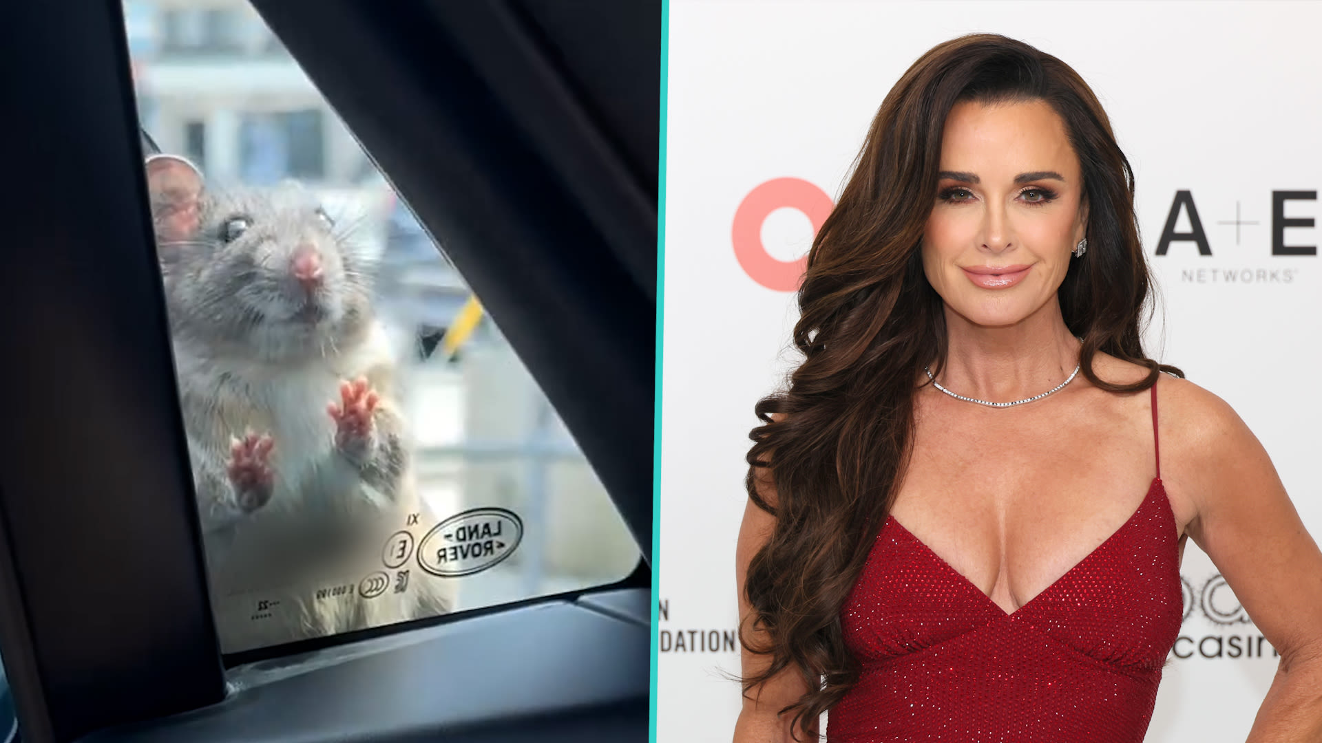 Kyle Richards Panics As Rat Crawls On Her Car & Traps Her Inside In Hilarious Video | Access