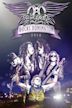 Aerosmith Rocks Donington 2014