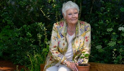 Dame Judi Dench has ‘no’ films in pipeline raising possibility of retirement from big screen