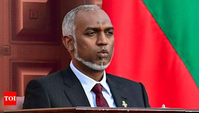 Black magic performed over Maldives President? Bizarre incident sees arrest of two ministers | - Times of India