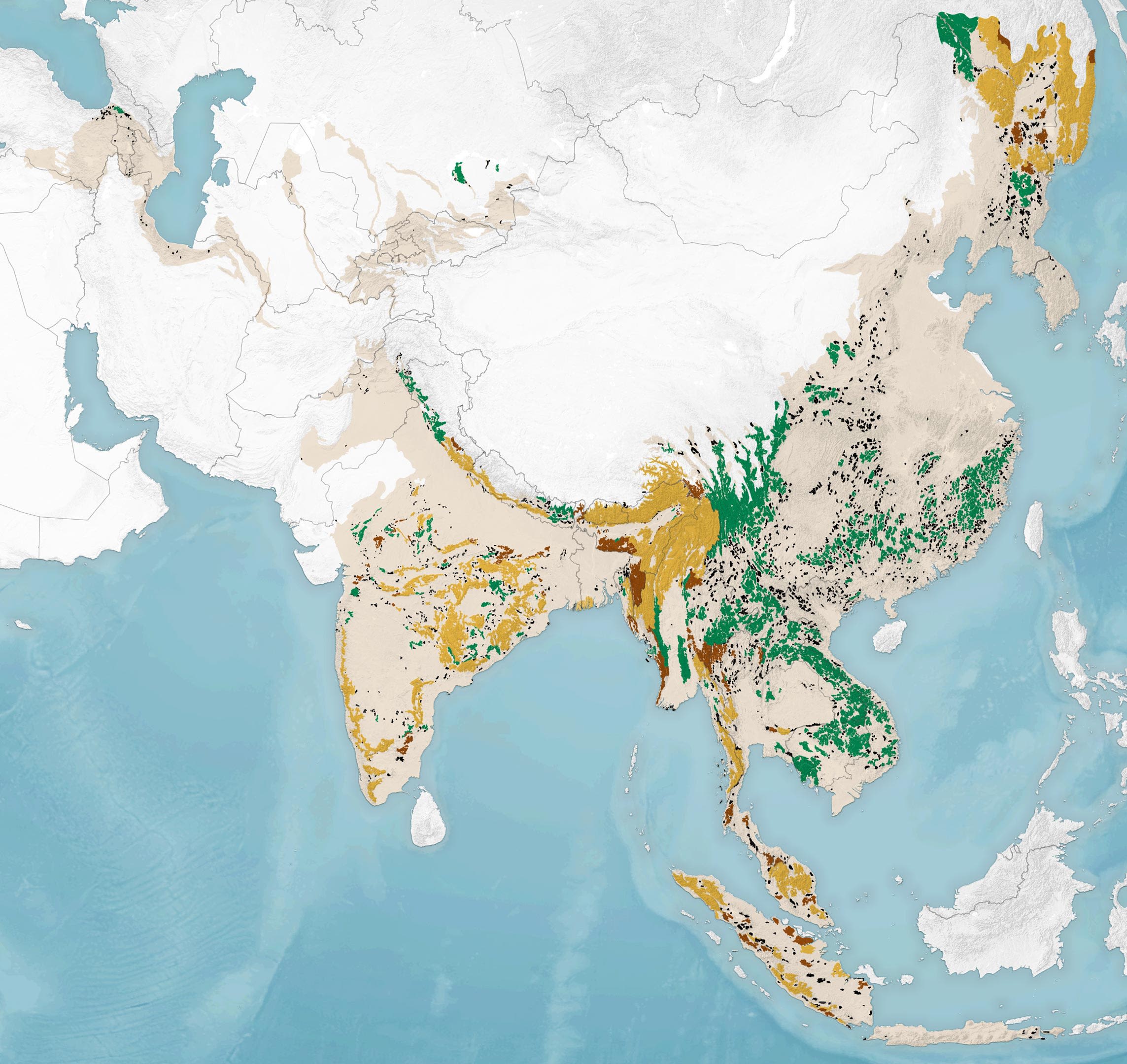 How Satellite Technology Is Rewriting Tiger Conservation